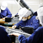 Black Soybean Sorting Factory Tour and Black Soybean Tea Making